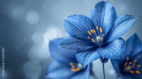  A close-up of a blue flower with water droplets and a bokeh of background lights