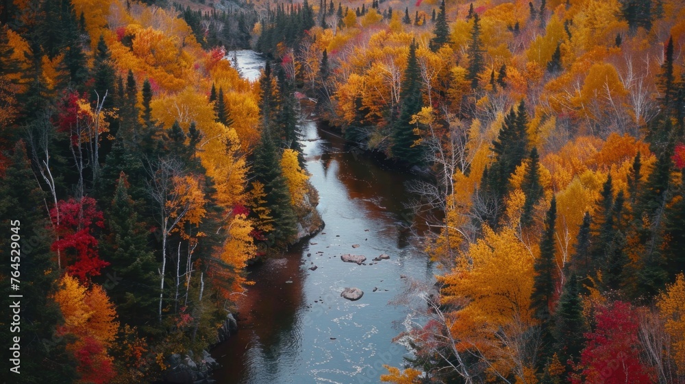 A serene river flowing through a lush forest, perfect for nature lovers and travel enthusiasts A serene river flowing through a lush forest, perfect for nature lovers and travel enthusiasts
