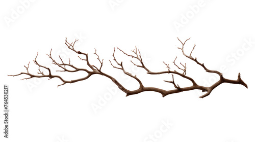 Dry branches isolated on transparent and white background.PNG image.