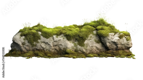 Green moss with dirt, soil and decorative stone, rock isolated on transparent and white background.PNG image. 