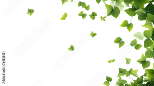 Green flying leaves  isolated on transparent and white background.PNG image. 