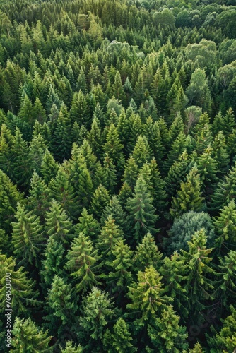 Aerial view of a dense forest, perfect for nature backgrounds