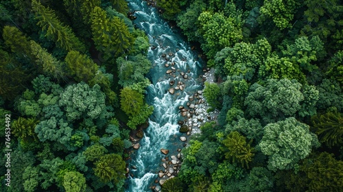 A rocky river in the middle of a forest. Aerial view of river reflecting sky