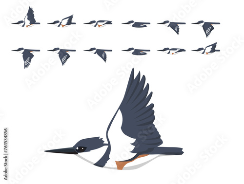 Bird Belted Kingfisher Flying Animation Sequence Cartoon Vector photo