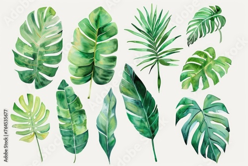 Vibrant watercolor painting of tropical leaves. Ideal for tropical-themed designs