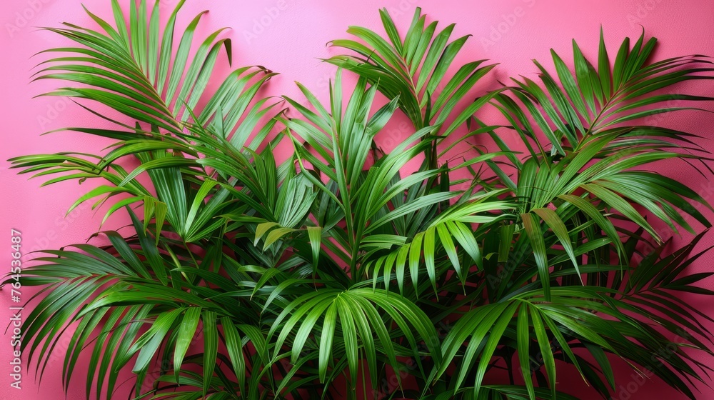 A macro shot of a green foliage against pink backdrop with wall elements in focus A macro shot of a green foliage against pink backdrop with wall elements in focus