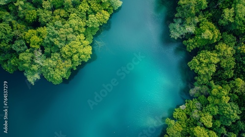 Aerial view of mangrove forest and sea. photo