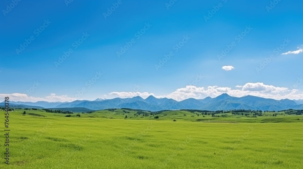 Panoramic natural landscape with green grass field, blue sky with clouds and mountains in background Panoramic natural landscape with green grass field, blue sky with clouds and mountains in background