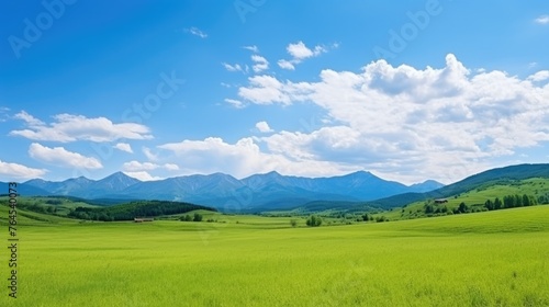 Panoramic natural landscape with green grass field, blue sky with clouds and mountains in background