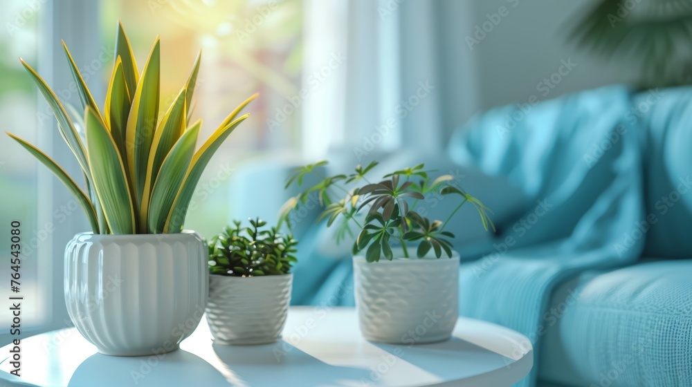 Indoor plant decoration in a bright living room setting with a comfortable blue couch in the background Indoor plant decoration in a bright living room setting with a comfortable blue couch in the background