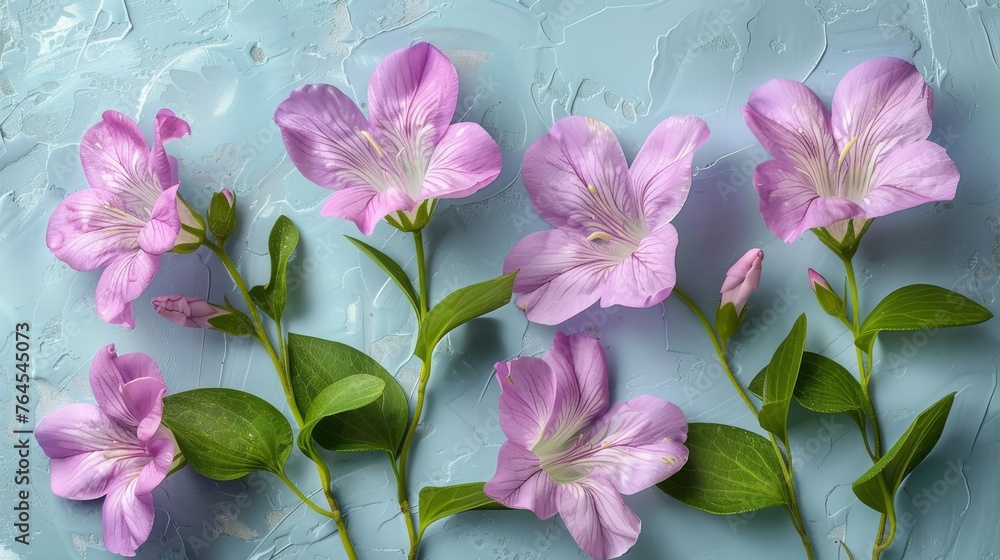 A cluster of pink blooms featuring green foliage against a blue backdrop, adorned with water droplets clinging to the flower petals A cluster of pink blooms featuring green foliage against a blue backdrop, adorned with water droplets clinging to the flower petals
