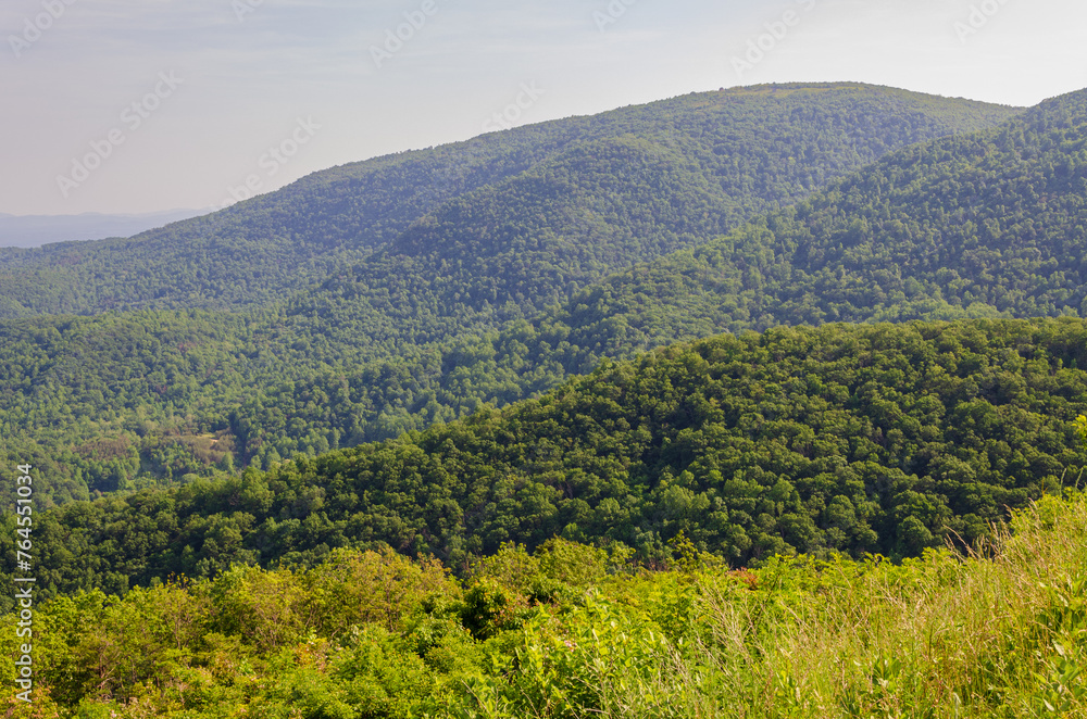 Fototapeta premium Shenandoah National Park along the Blue Ridge Mountains in Virginia