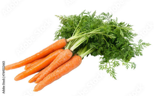 Fresh Carrots Bunch with Green Tops on transparent background,