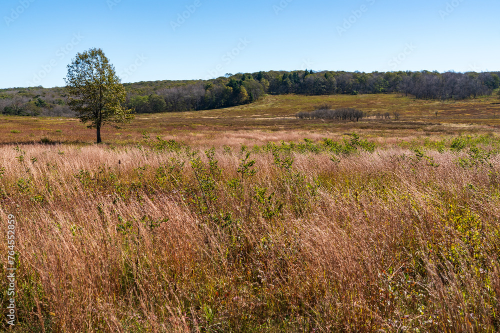 Big Meadows at Shenandoah National Park along the Blue Ridge Mountains in Virginia During Autumn Big Meadows at Shenandoah National Park along the Blue Ridge Mountains in Virginia During Autumn