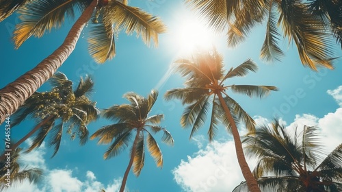 Blue sky and palm trees view from below, vintage style, tropical beach and summer background, travel concept