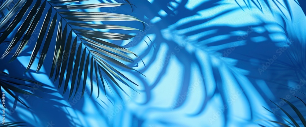 Naklejka premium Realistic Transparent Shadow From A Leaf, HD, Background Wallpaper, Desktop Wallpaper