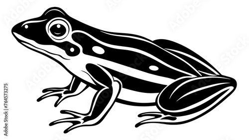 Captivating Frog Vector Illustrations for Every Project