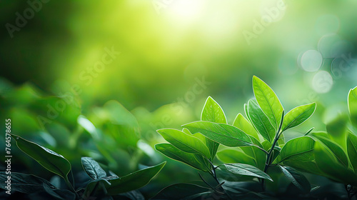 Nature leaf background. Plant branch with green leaves on a bokeh background. Generative ai illustration.	 photo