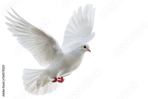 Flying white dove isolated on white background © CHAYAPORN