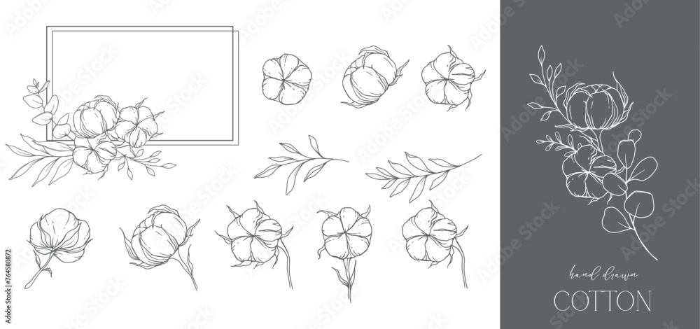 Hand Drawn Cotton Flowers Line Art Illustration. Cotton Balls isolated on white. Hand drawn floral frame Cotton Plant Black and white illustration. Fine Line Cotton illustration. Hand Drawn Cotton Flowers Line Art Illustration. Cotton Balls isolated on white. Hand drawn floral frame Cotton Plant Black and white illustration. Fine Line Cotton illustration.