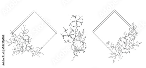 Hand Drawn Cotton Flowers Line Art Illustration. Cotton Balls isolated on white. Hand drawn floral frame Cotton Plant Black and white illustration. Fine Line Cotton illustration. 