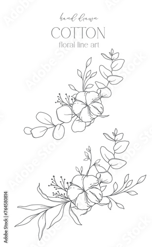 Hand Drawn Cotton Flowers Line Art Illustration. Cotton Balls isolated on white. Hand drawn floral frame Cotton Plant Black and white illustration. Fine Line Cotton illustration. 