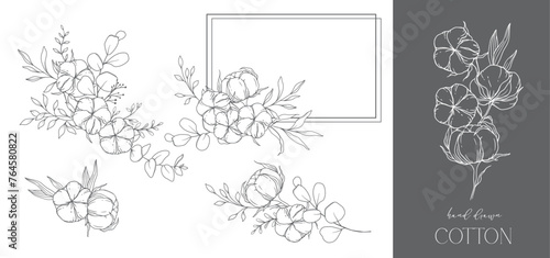 Hand Drawn Cotton Flowers Line Art Illustration. Cotton Balls isolated on white. Hand drawn floral frame Cotton Plant Black and white illustration. Fine Line Cotton illustration. 
