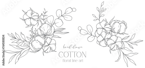 Hand Drawn Cotton Flowers Line Art Illustration. Cotton Balls isolated on white. Hand drawn floral frame Cotton Plant Black and white illustration. Fine Line Cotton illustration. 