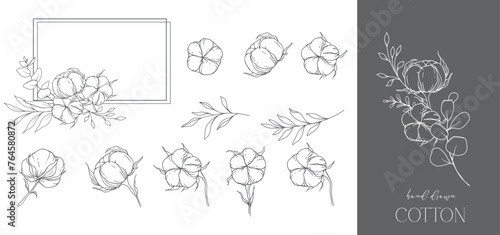 Hand Drawn Cotton Flowers Line Art Illustration. Cotton Balls isolated on white. Hand drawn floral frame Cotton Plant Black and white illustration. Fine Line Cotton illustration. 