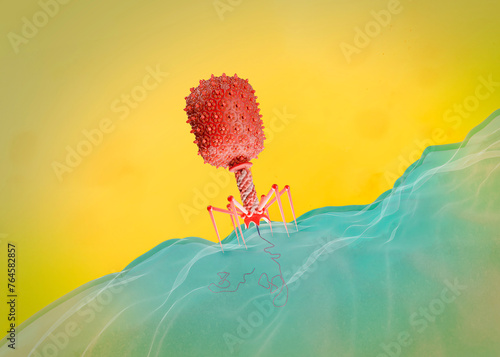 T4 bacteriophage infecting E. coli bacterium, illustration photo