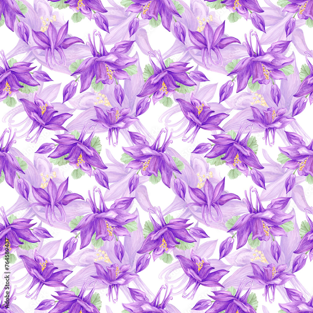 Hand drawn watercolor purple aquilegia flowers seamless pattern isolated on white background. Can be used for textile, fabric, wrapping and other printed products.