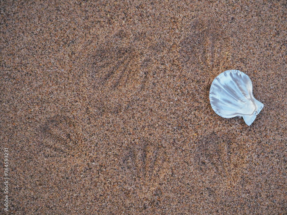 Silver seashells on sand background, copy space or background for products Silver seashells on sand background, copy space or background for products