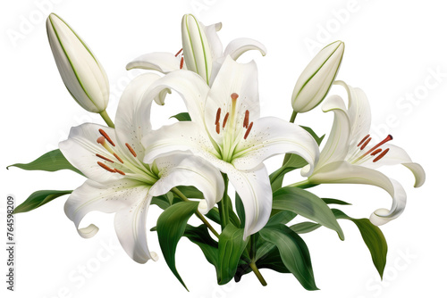 Ethereal Elegance: A Bouquet of White Lilies. On White or PNG Transparent Background..