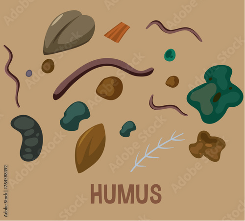 Vector illustration of various organic matter in soil