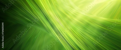 Abstract Gradient Green Background, HD, Background Wallpaper, Desktop Wallpaper