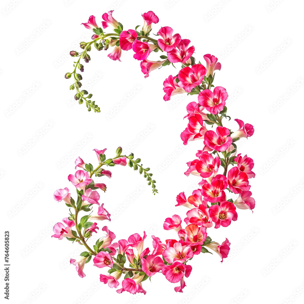 Pink Snapdragon flowers bouquet Pink Snapdragon flowers bouquet