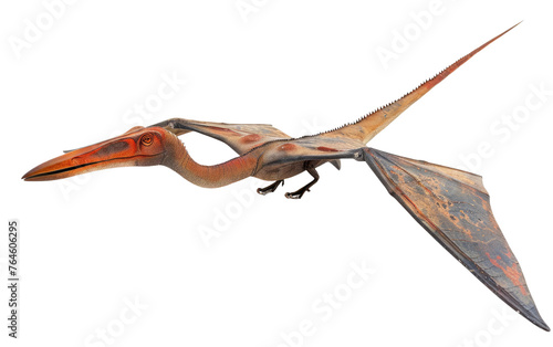 Understanding Pteranodon's Ecological photo