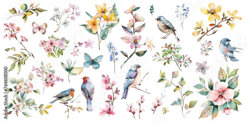 Set of watercolor flowers, birds, butterflies on a white background.