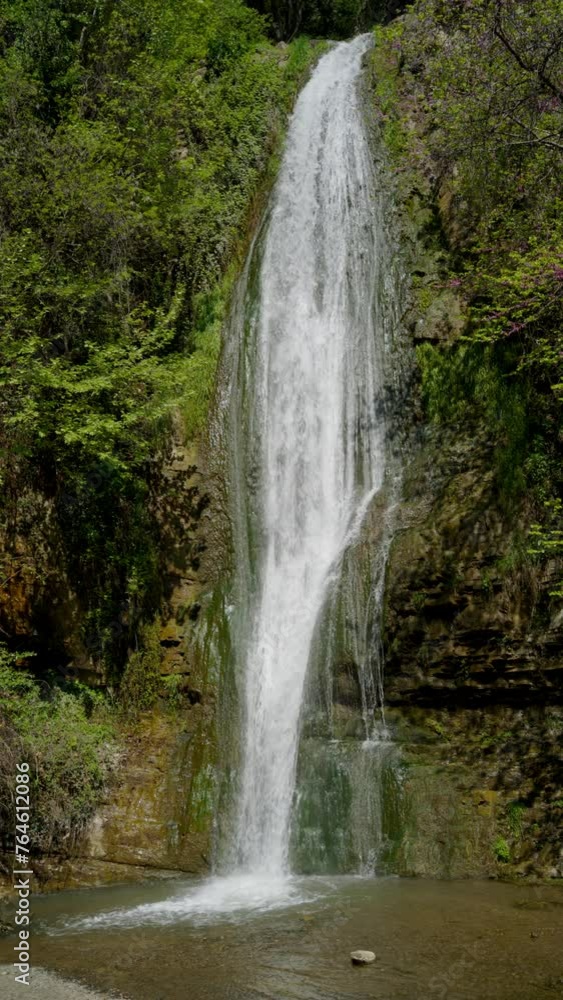 Forest waterfall on a bright day. Vertical video. Forest waterfall on a bright day. Vertical video.