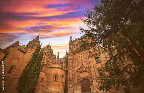 Old Cathedral of Santa Maria de la Sede of Salamanca, Spain © vvvita