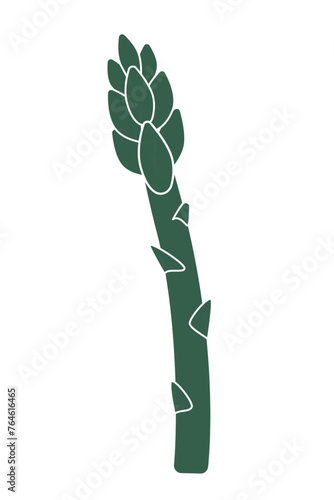 Green asparagus sprout isolated on white background. Healthy vegan food. Vector flat illustration isolated on white background. 