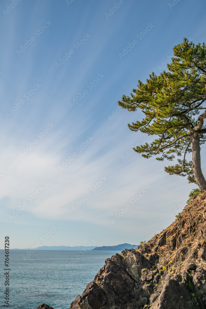 Obraz premium 松の木と岬からの水平線