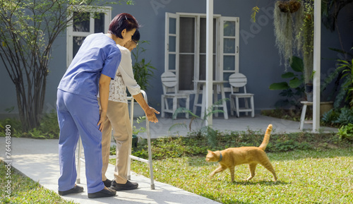 Asian senior woman and caregiver relaxing with cat in backyard.