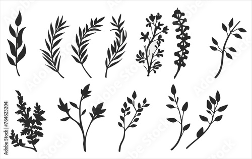 Vector of plant leaves on a white background