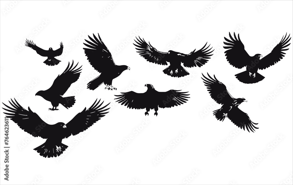 Vector of eagle silhouette on a white background