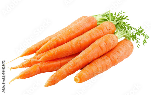 Exploring the Versatility of Carrots