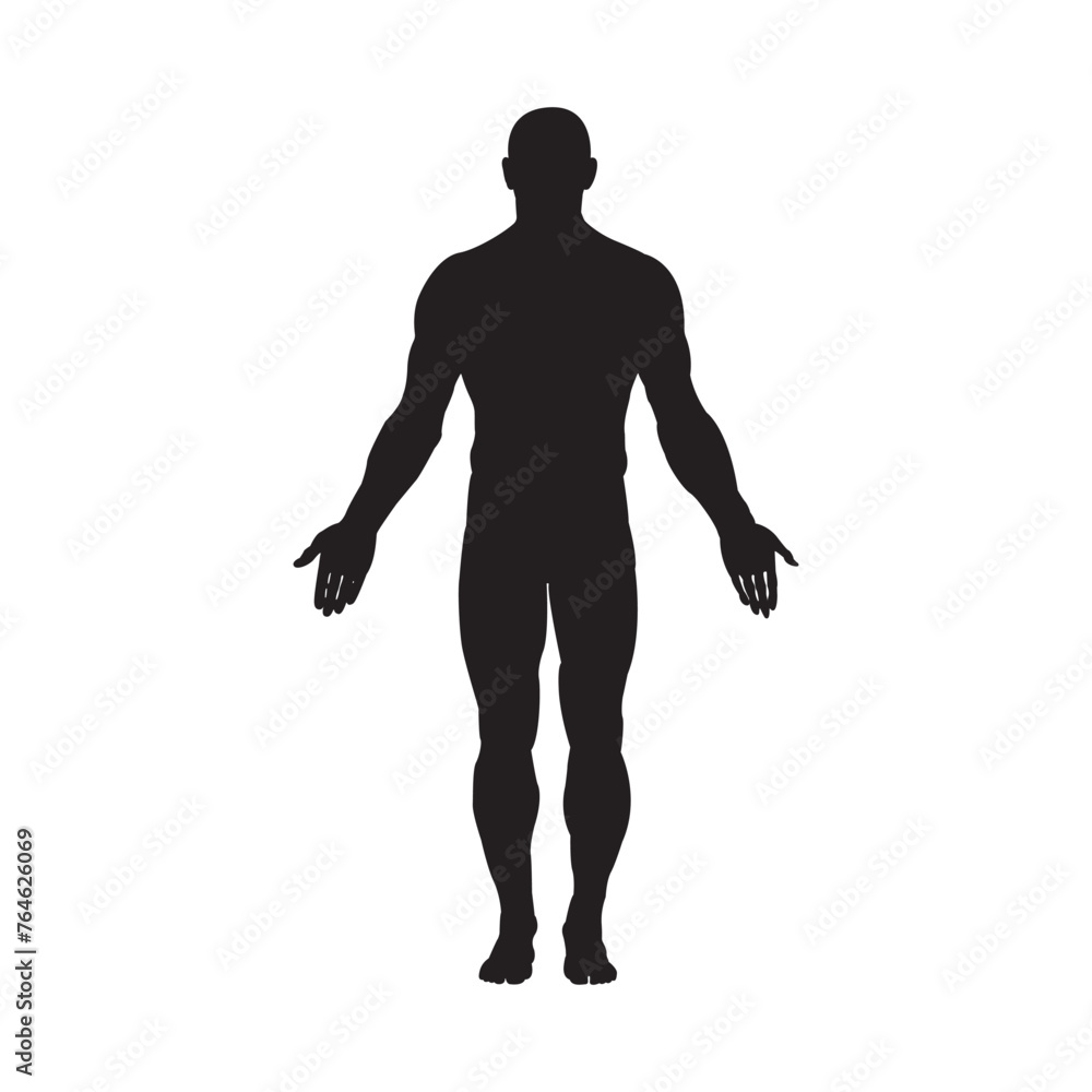Male human body belonging to an adult man silhouette flat icon, vector illustration 