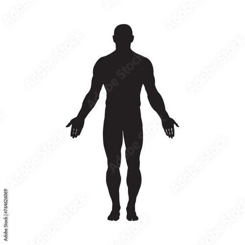 Male human body belonging to an adult man silhouette flat icon, vector illustration 