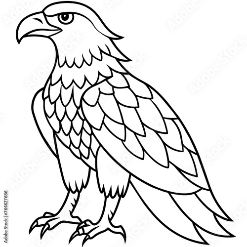 illustration of an eagle