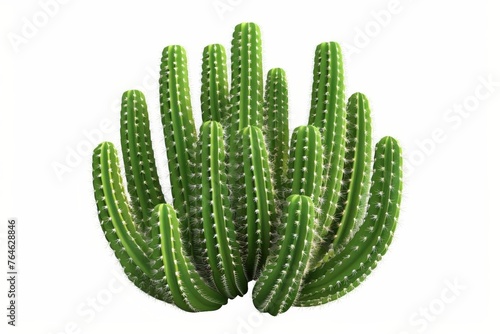 Lush green cactus on white background with ample space for text, suitable for themes related to nature, environment, or desert flora